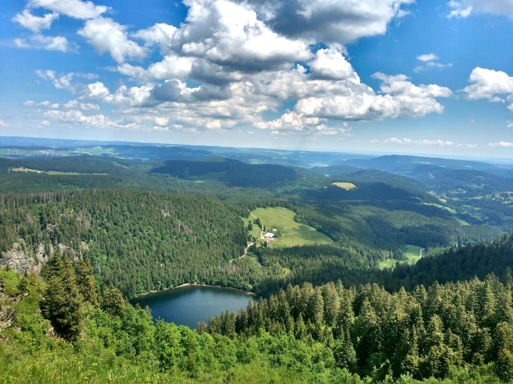 Landleben Im Dorfkrug Altglashütten- Feldberg Apartment *