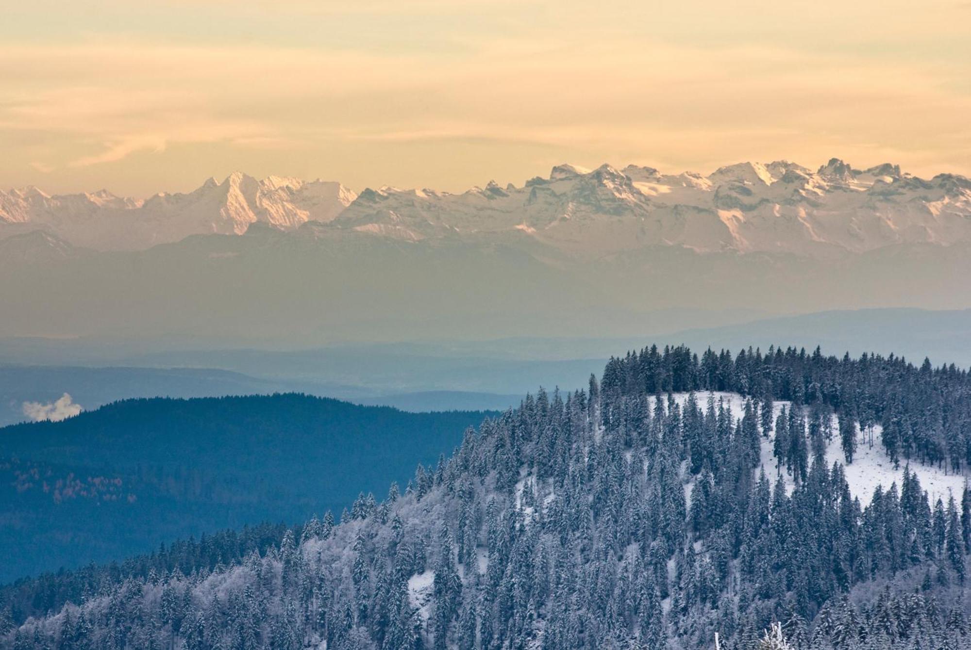 Landleben Im Dorfkrug Altglashütten- Feldberg * Feldberg (Baden-Wurttemberg)